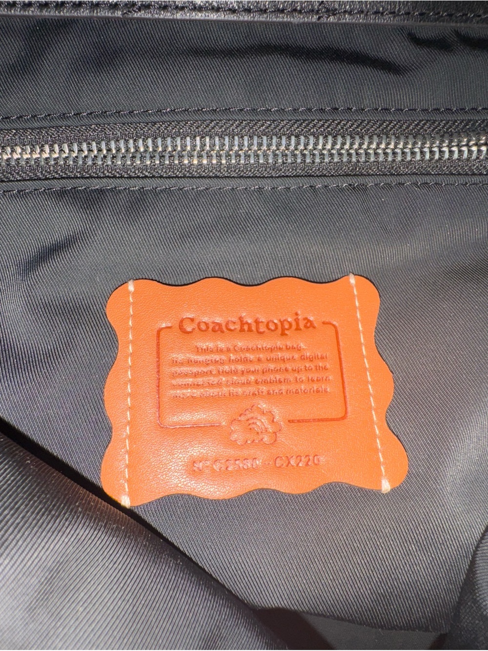 Coachtopia Alter/Ego Large Black Hobo Bag Bella Hadid - Picture 13 of 16